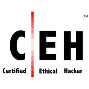 Certification Ethical Hacking V11 (CEH v11)